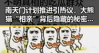 南天门计划推进引热议，大熊猫“相亲”背后隐藏的秘密曝光